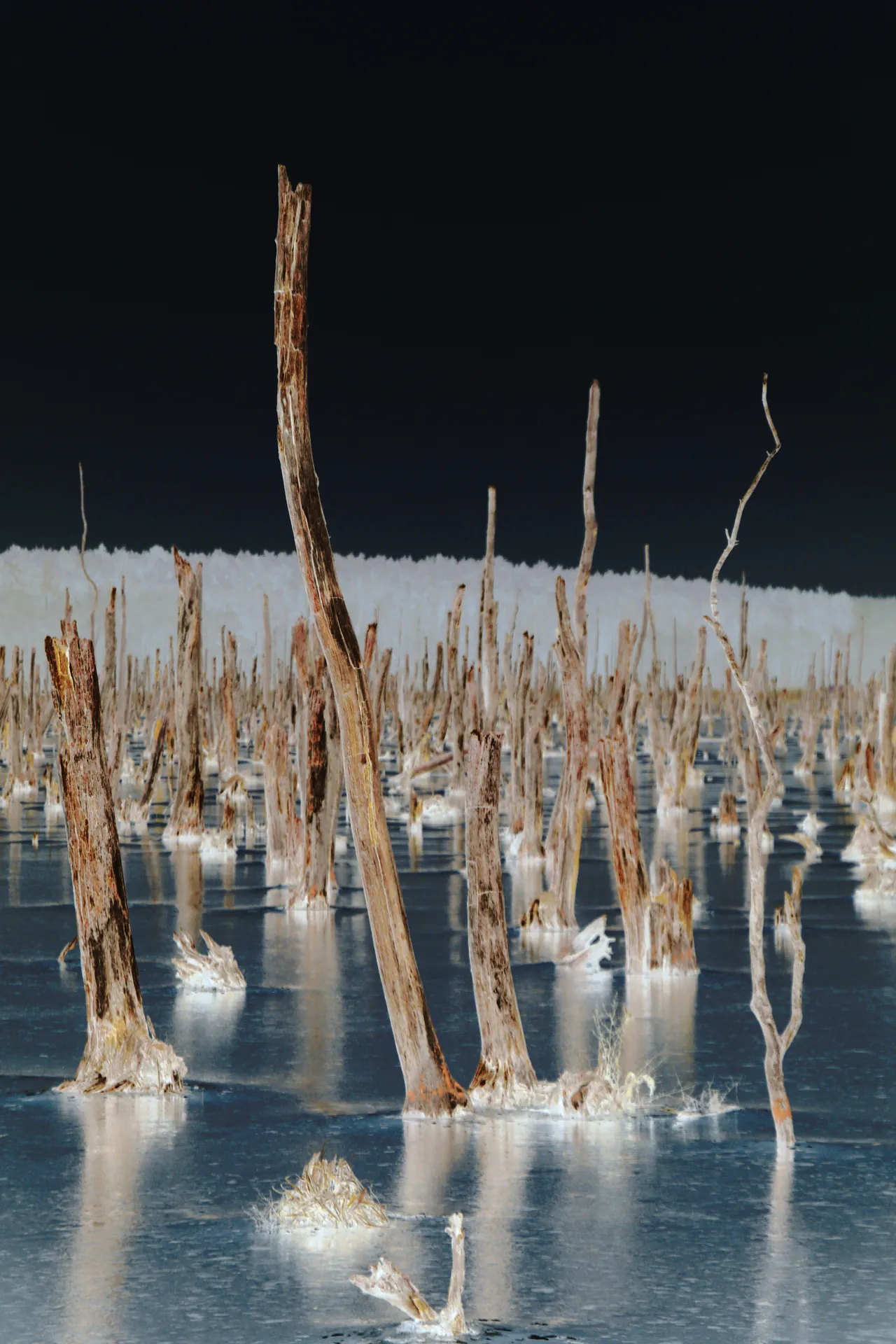 20230209-peenehaff-2