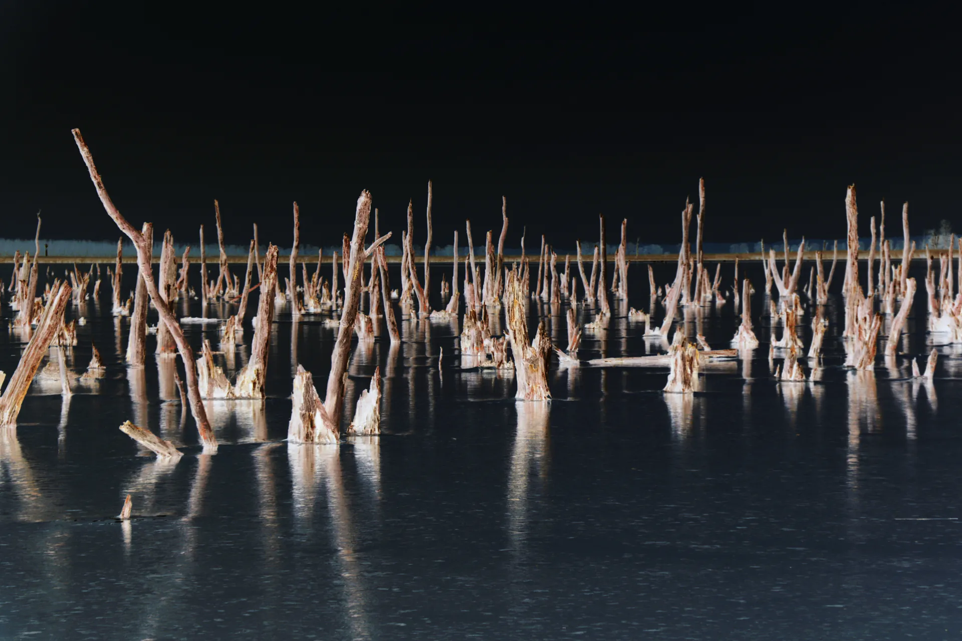 20230209-peenehaff-4